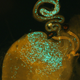 Image for article titled Sperm Wars Can Create New Species